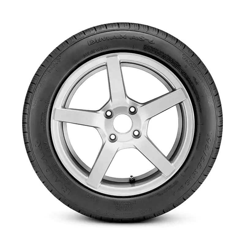Dimax<sup class="deffont">®</sup> AS-6