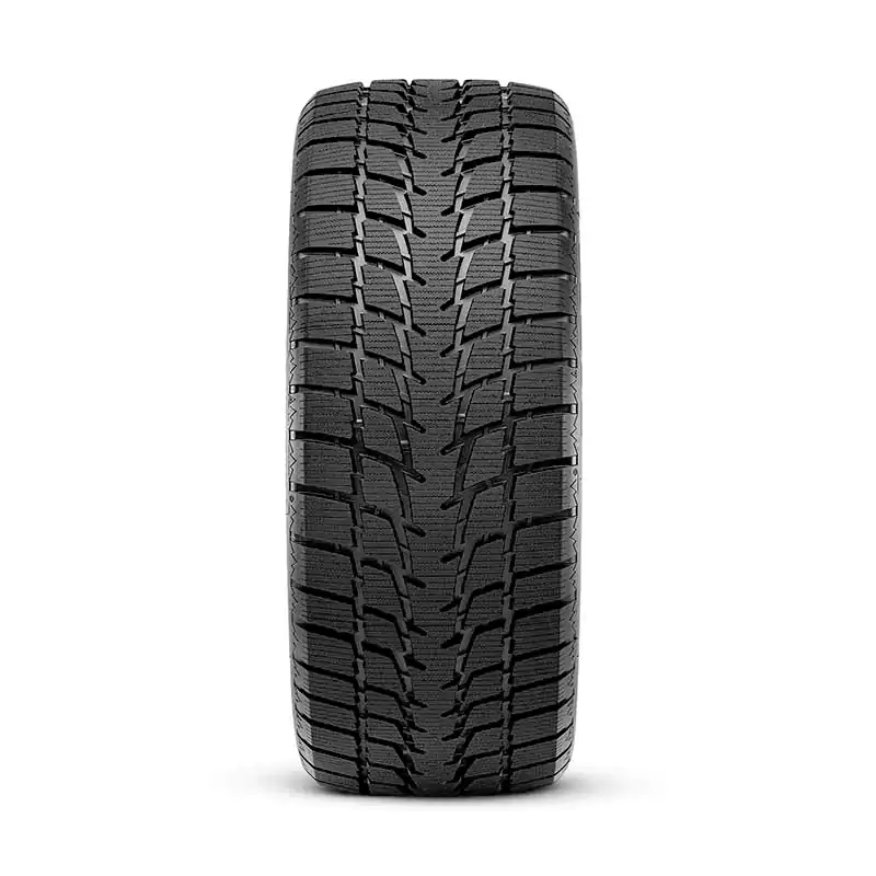 新品 2025年製 Radar Dimax ICE X 195/65R15 Dimax® Ice | Omni United