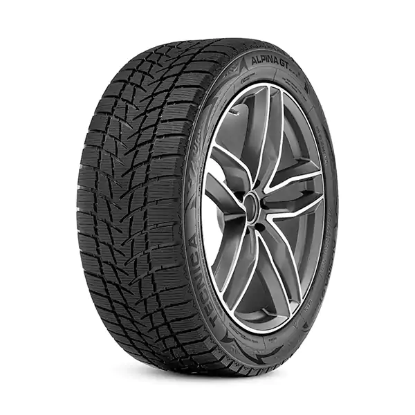 Tecnica Alpina<sup class="deffont">®</sup> GT