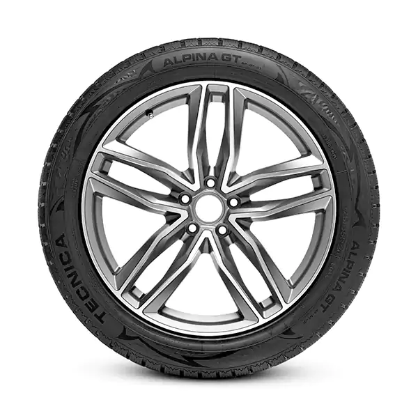 Tecnica Alpina<sup class="deffont">®</sup> GT